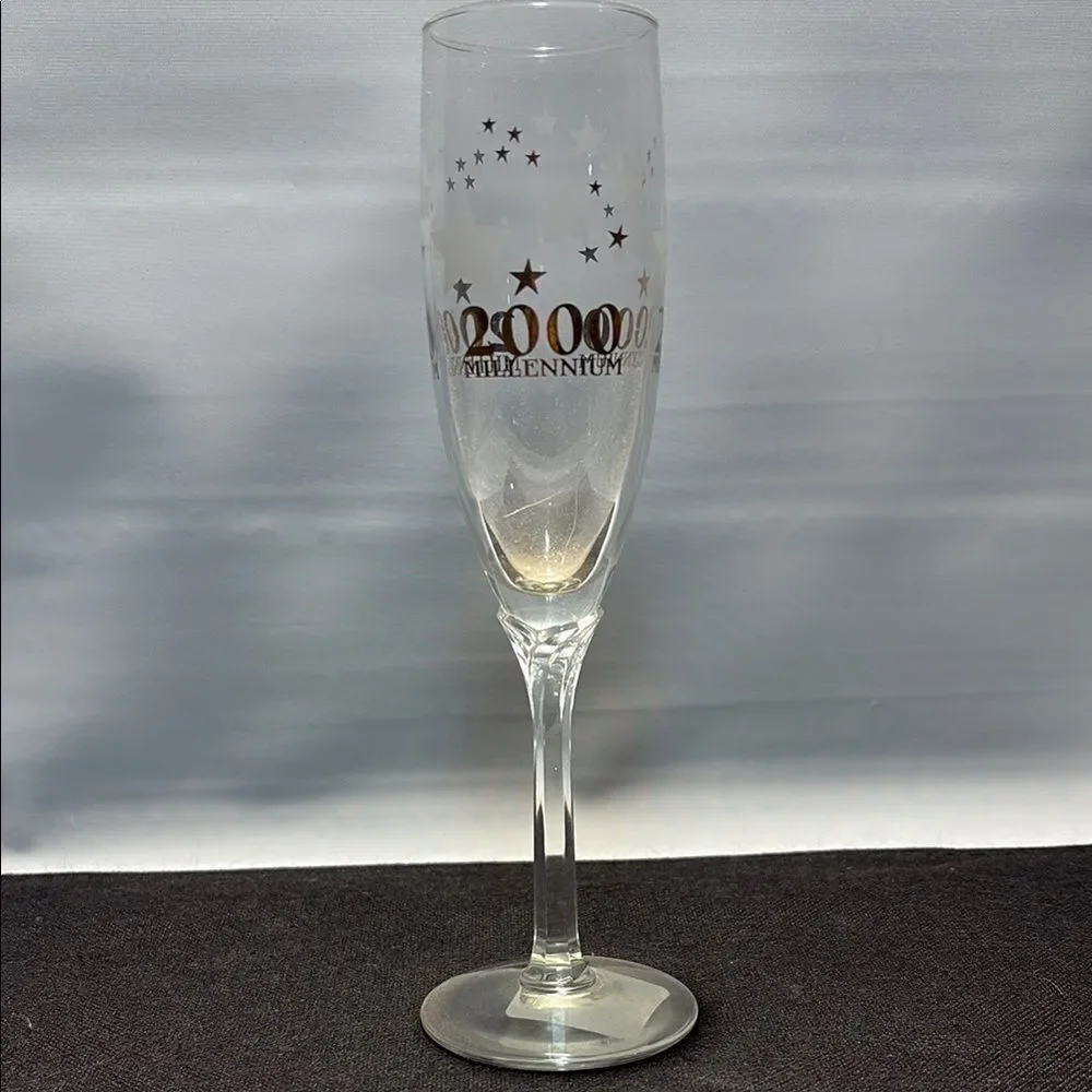 Libbey Gray and Black Drinkware Set for Elegant Dining